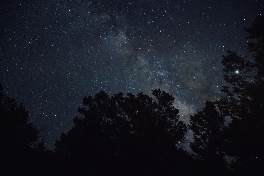 The Milky Way glows above the silhouettes of trees.
