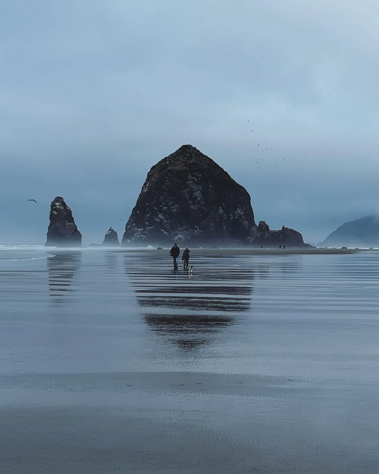 Haystack Rock and walkers reflect in the wet sand at Cannon Beach.