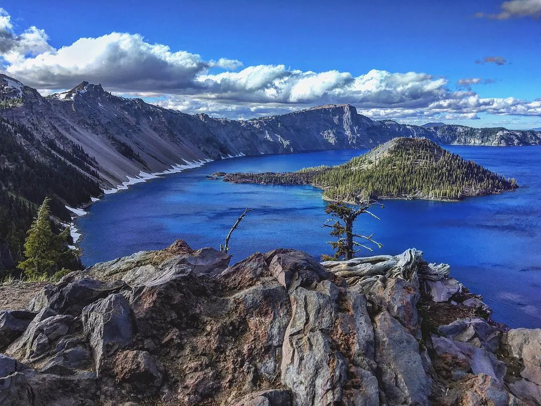 The deep blue water of Crater Lake surrounds a small island beneath snowy ridges.