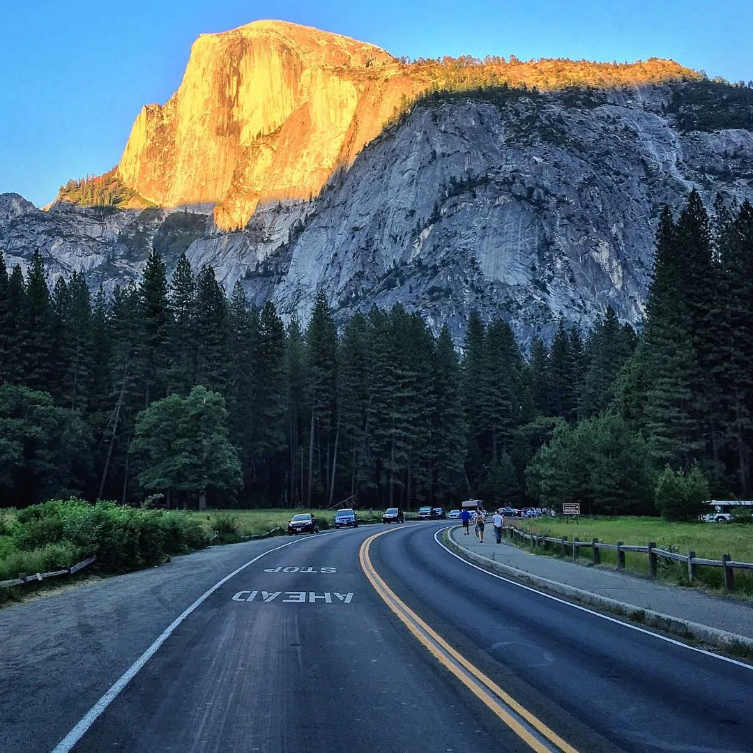 Golden evening light touches granite cliffs above a forest road.
