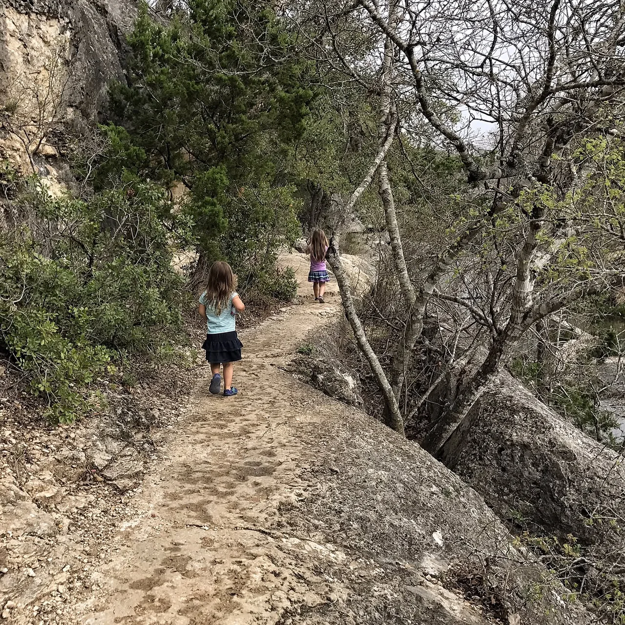 Children explore a winding woodland trail.
