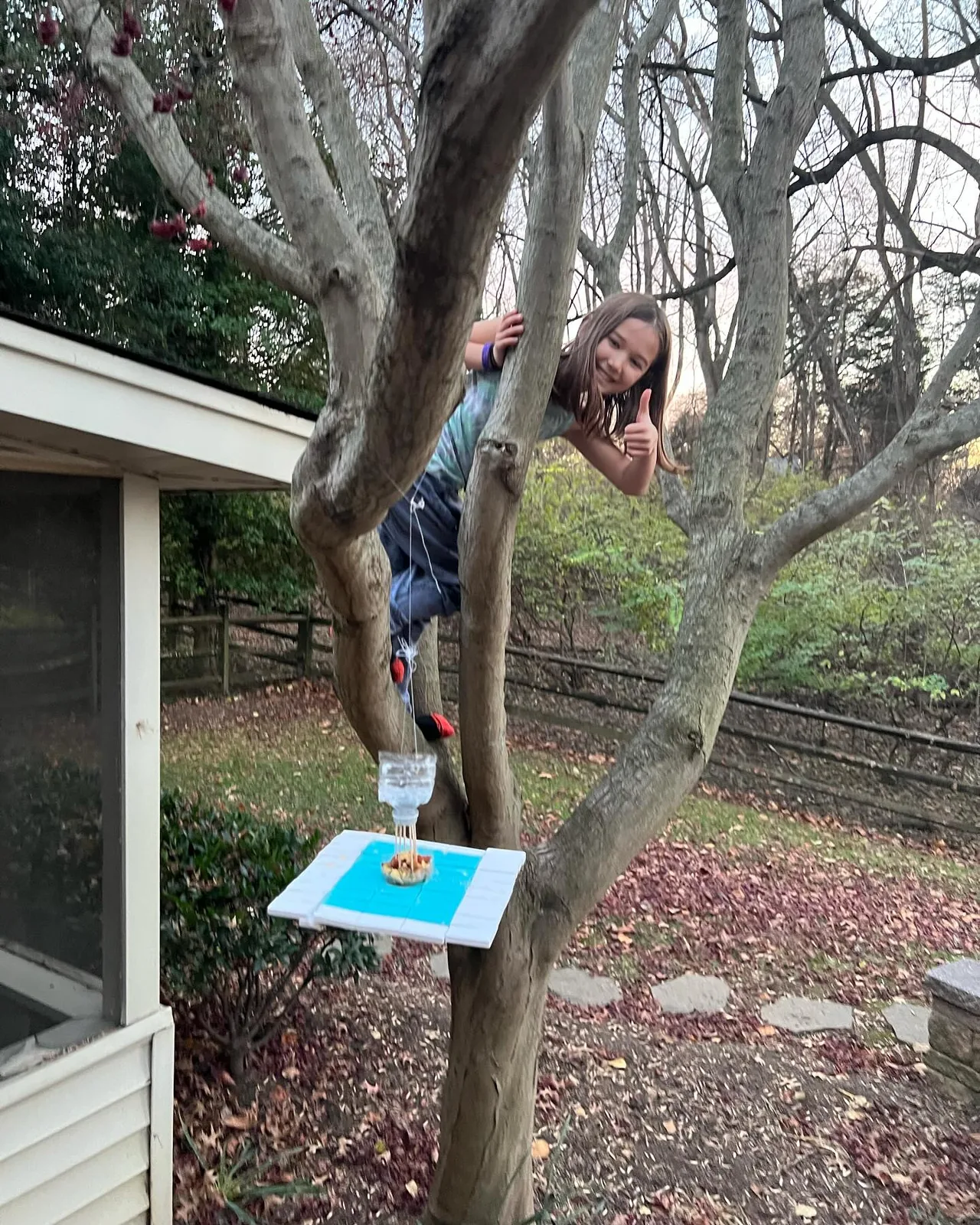 A handmade feeder hangs from a tree.