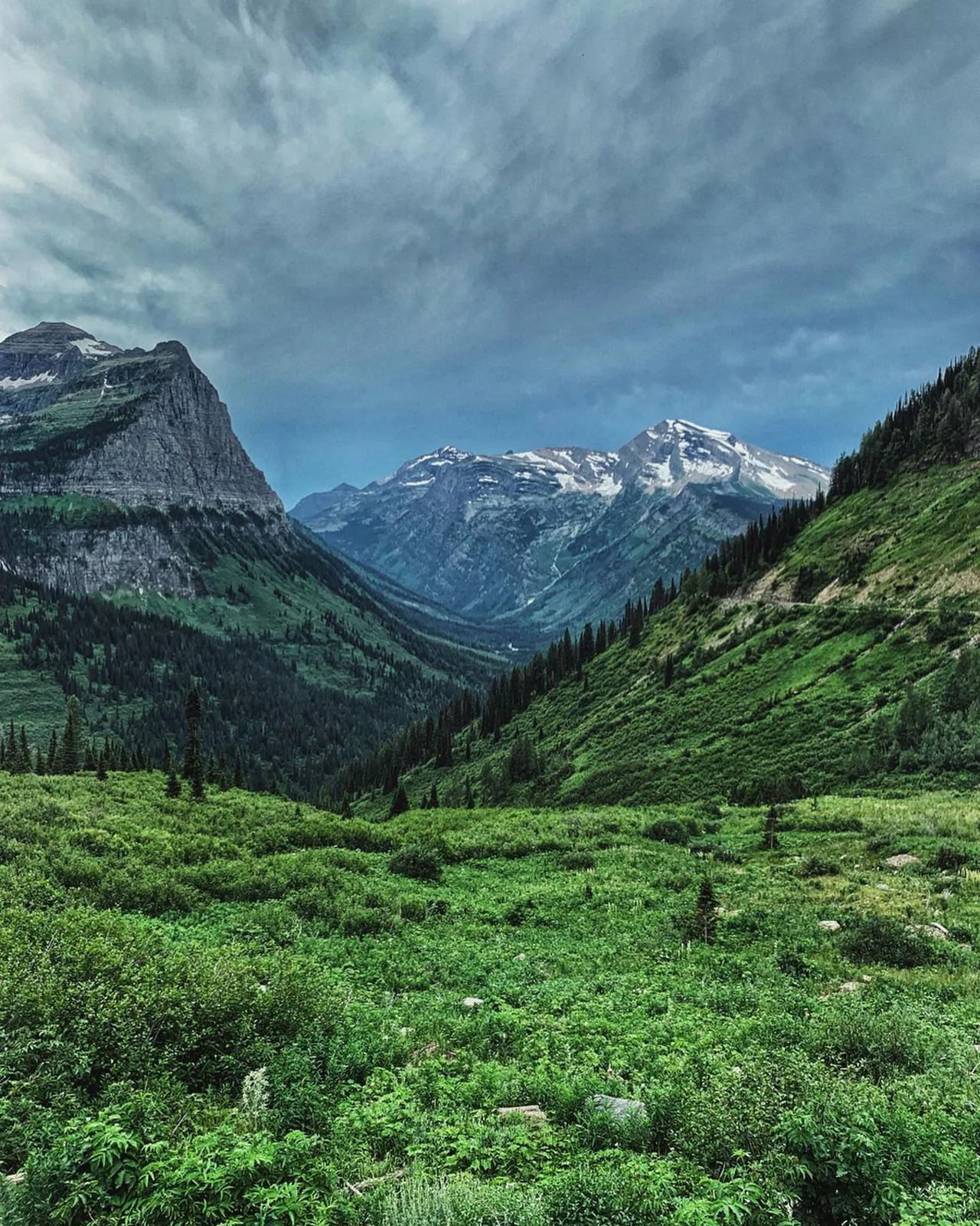 A green valley opens between the mountains of Glacier National Park.