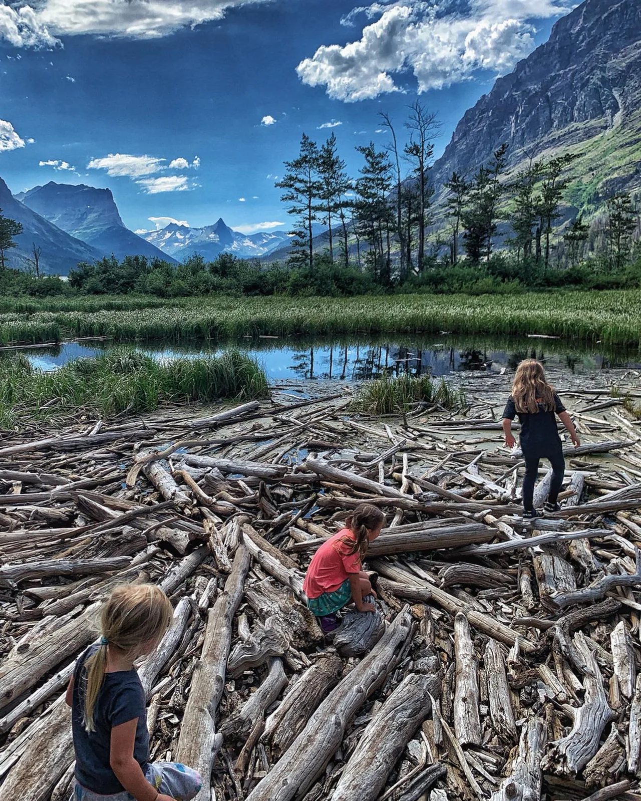 Children explore driftwood beside a mountain lake.