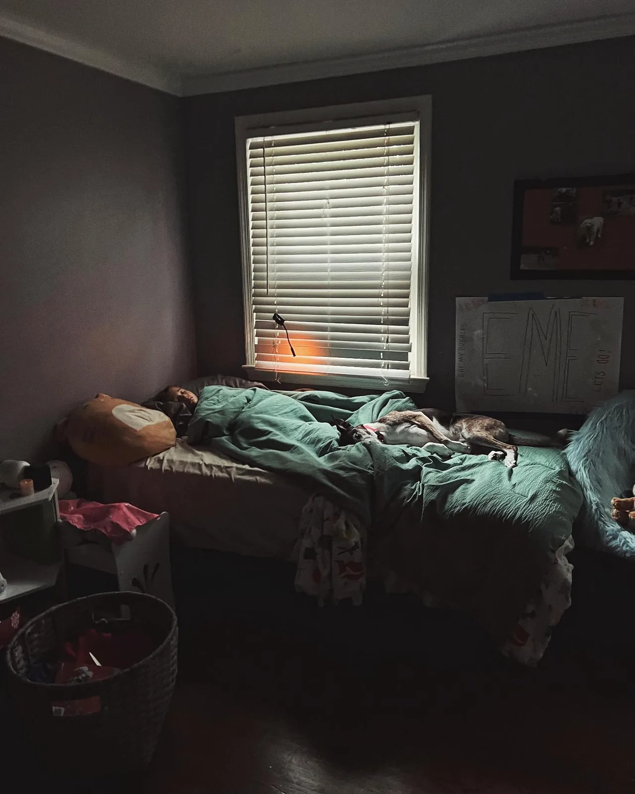 Morning light falls across a bed in a quiet room.